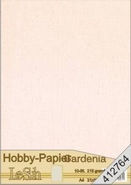 412764 - Hobby & Cardboard 